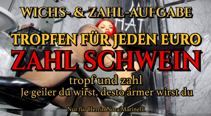 Zahlschwein-Training-Tropfen für jeden Euro