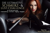 Sklavenaufgabe-Die ultimative Schmerz-und Lust-Challenge